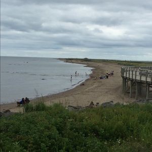 Meet your Posher, Rochelle